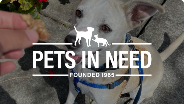 Pets In Need